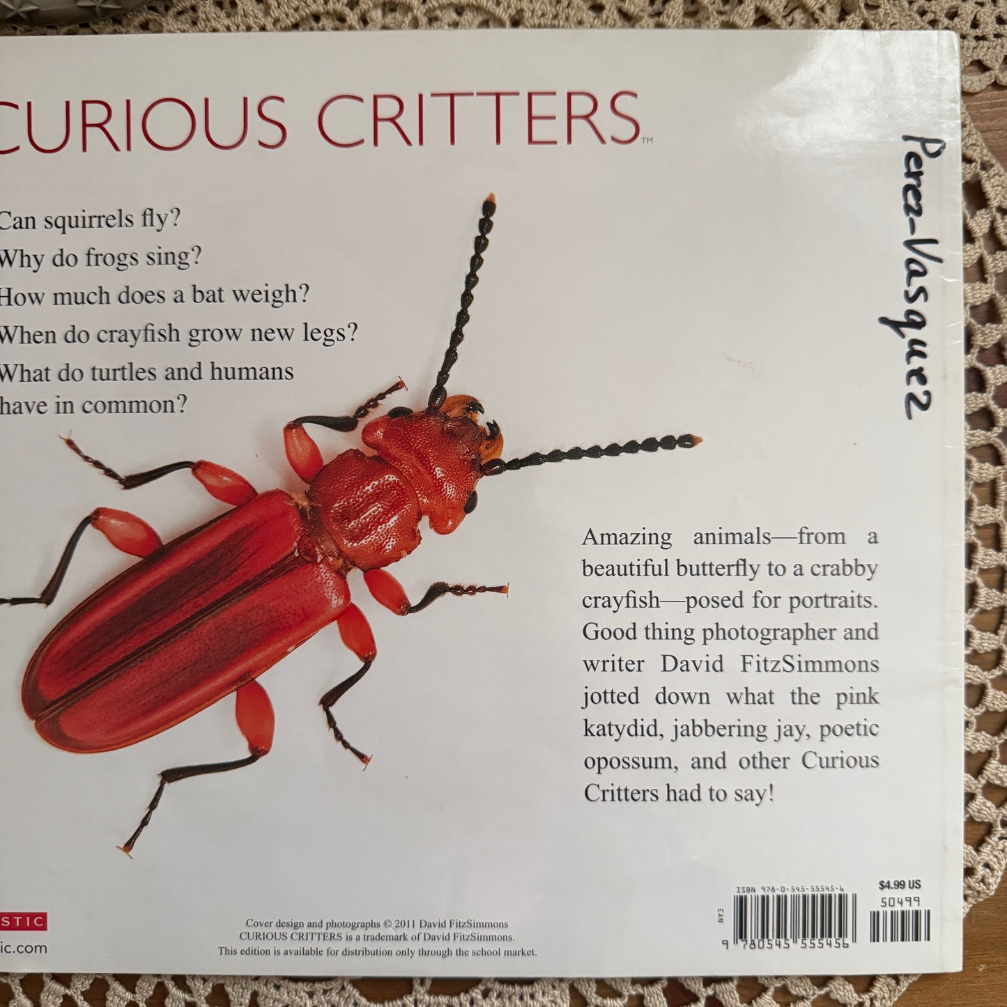 unique vintage whimsical critter table book collectable