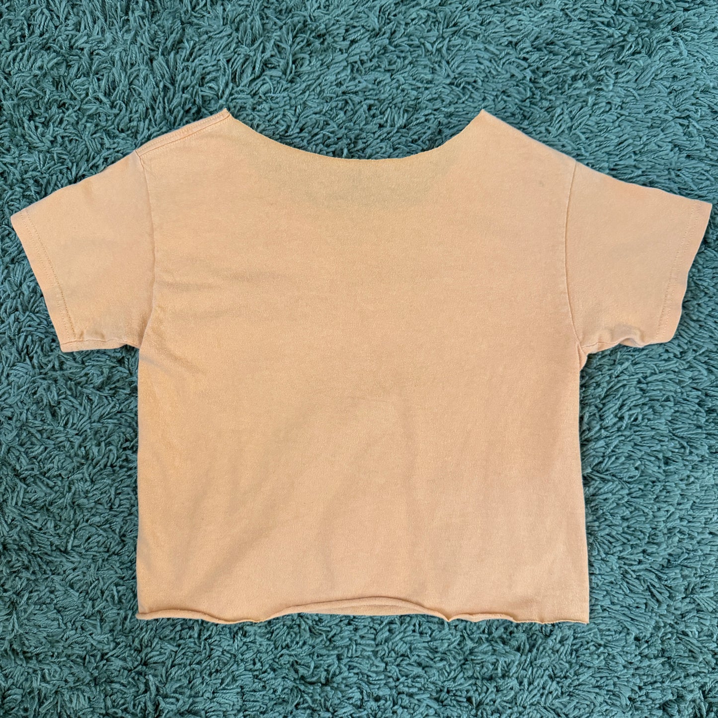 unique vintage 90s y2k DISNEY graphic baby tee
