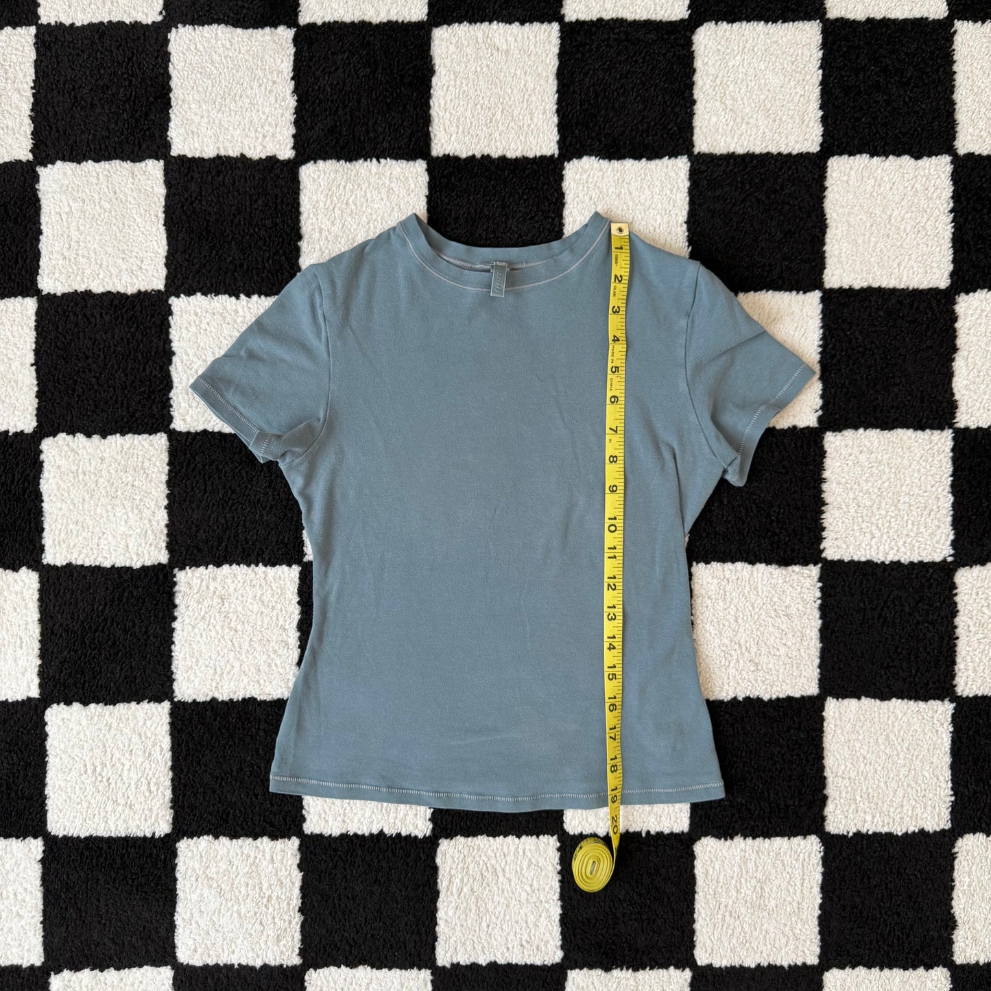 whimsy 90s y2k SKIMS baby tee