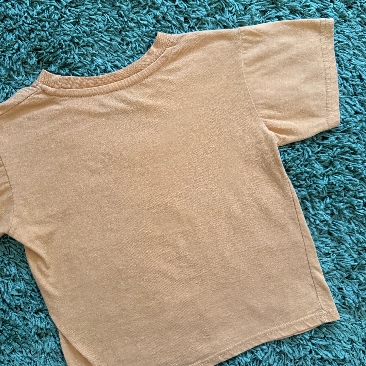 unique vintage whimsy 90s y2k REALTREE graphic baby tee