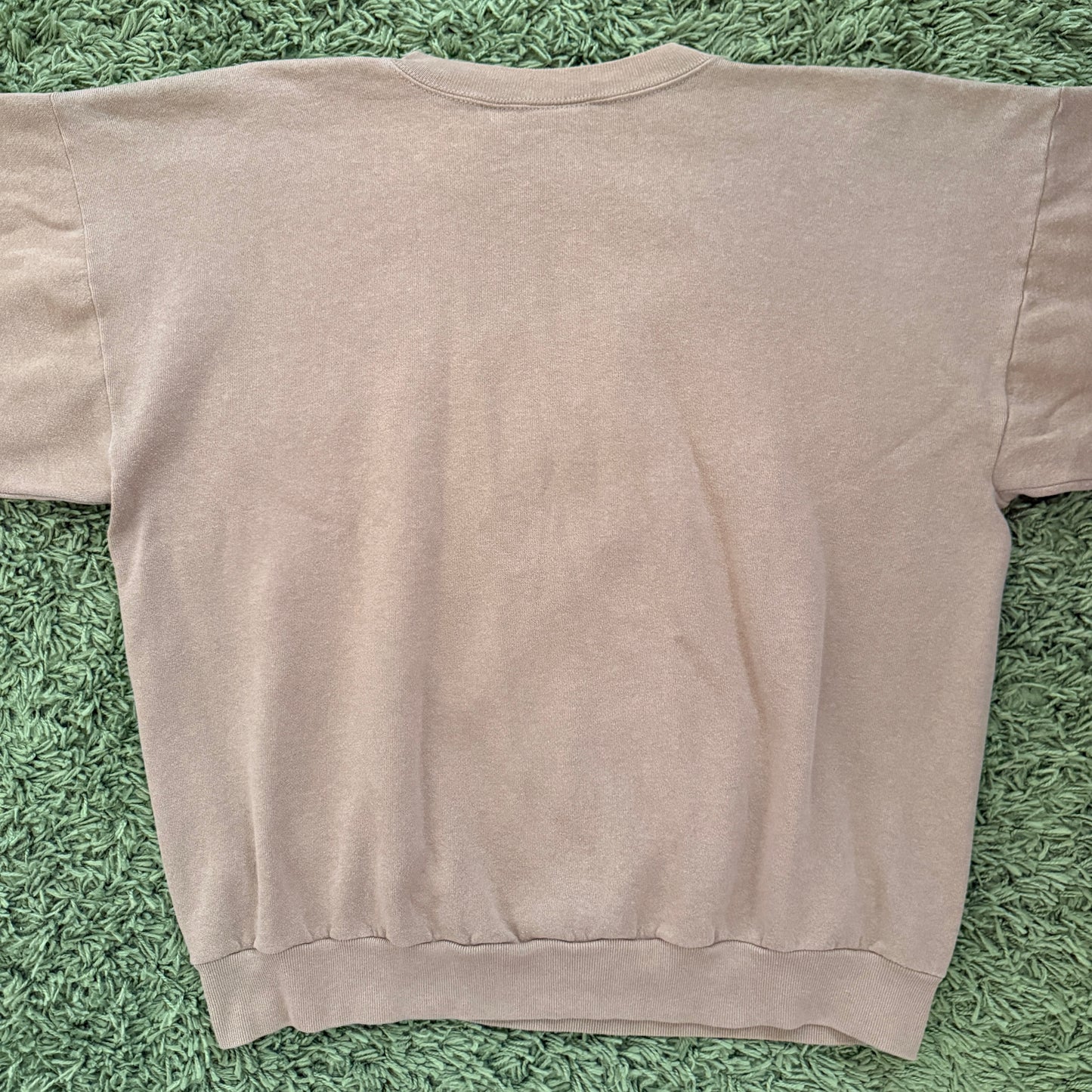unique vintage whimsical 90s y2k graphic pullover sweatshirt