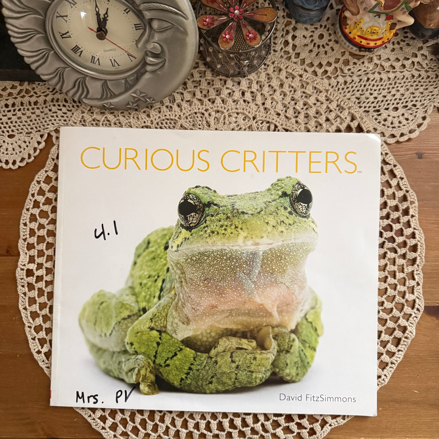 unique vintage whimsical critter table book collectable