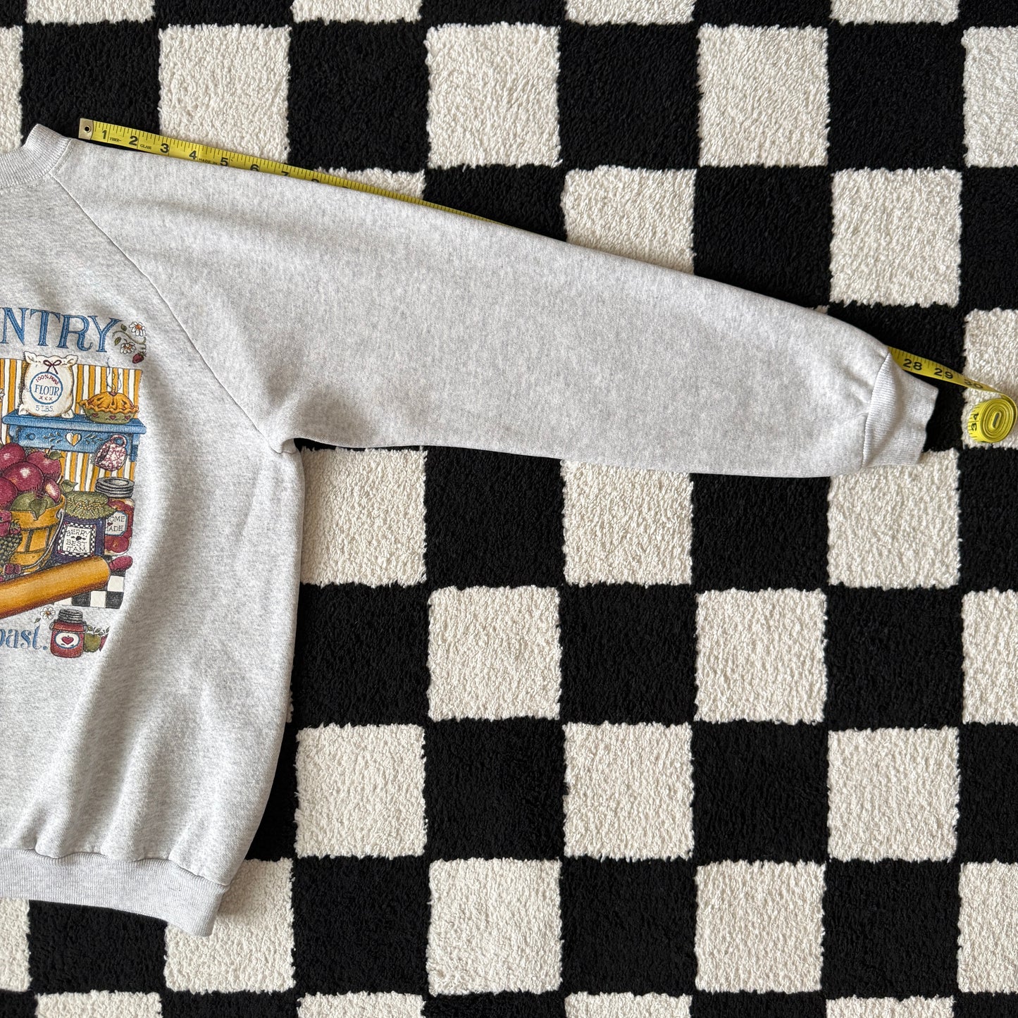 unique vintage whimsical 90s y2k graphic pullover sweatshirt