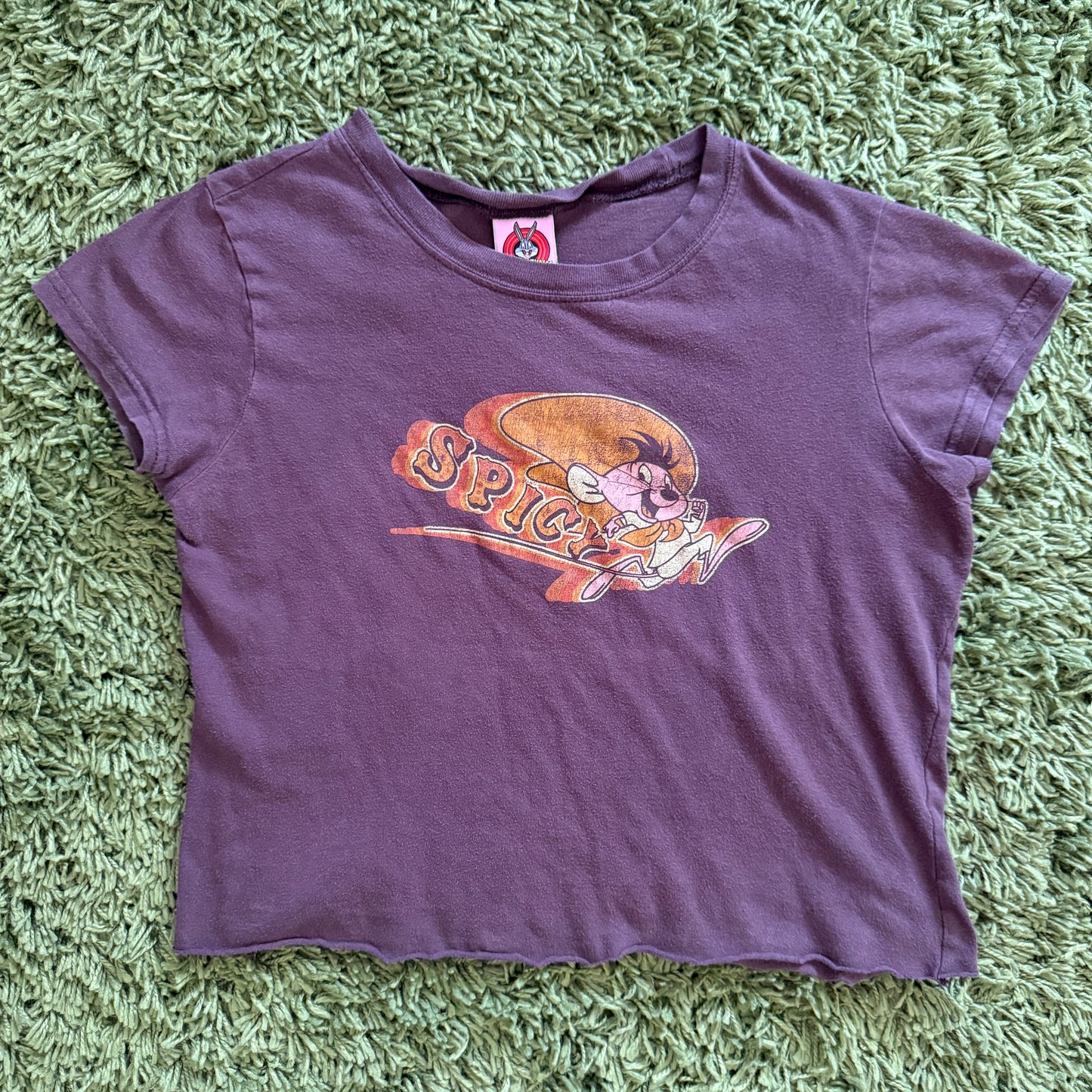 unique vintage whimsy 90s y2k LOONEY TUNES graphic baby tee