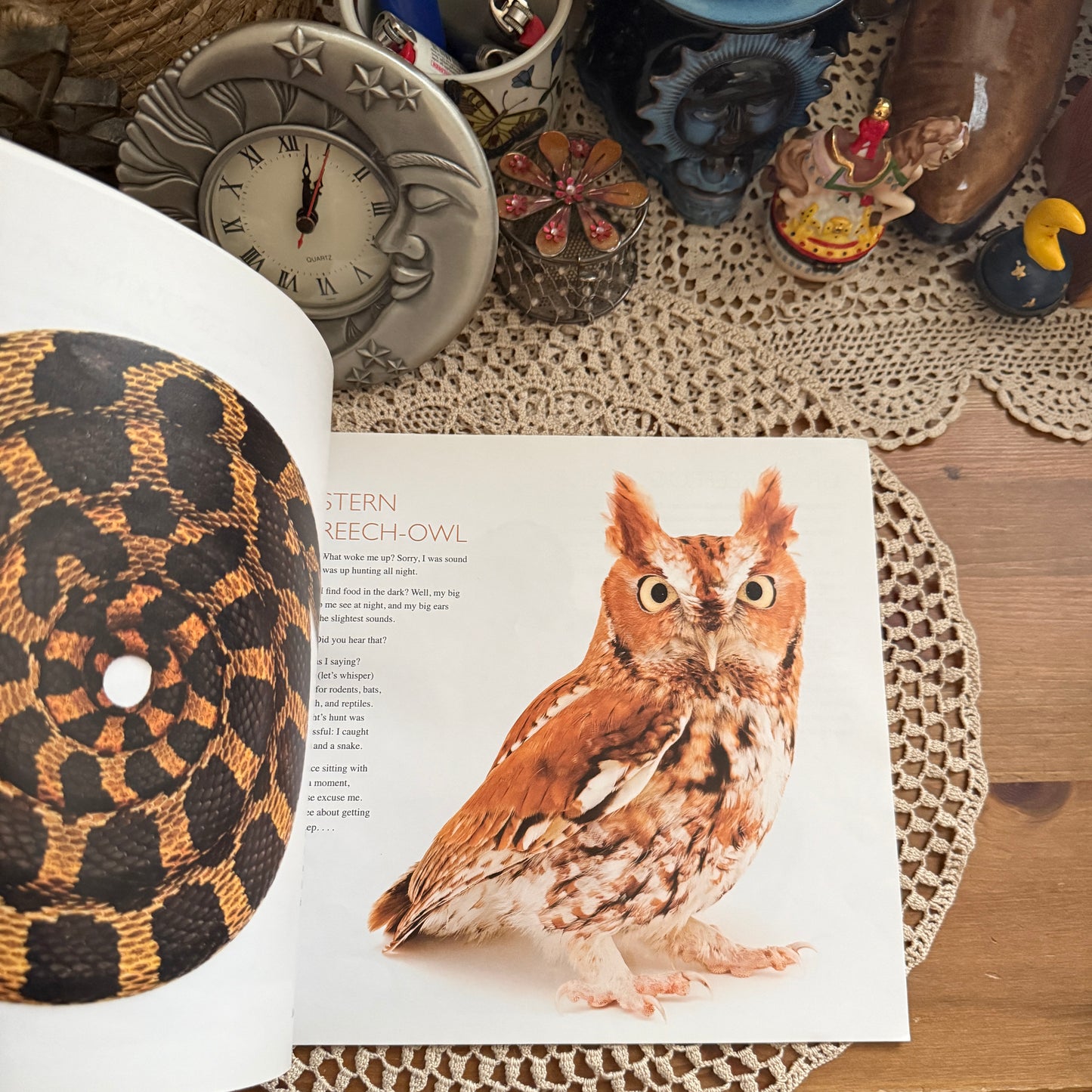 unique vintage whimsical critter table book collectable