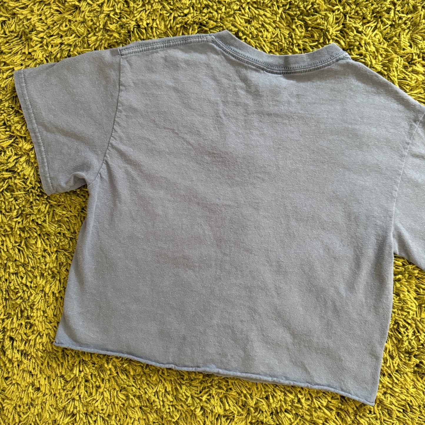 unique vintage whimsy 90s y2k graphic baby tee