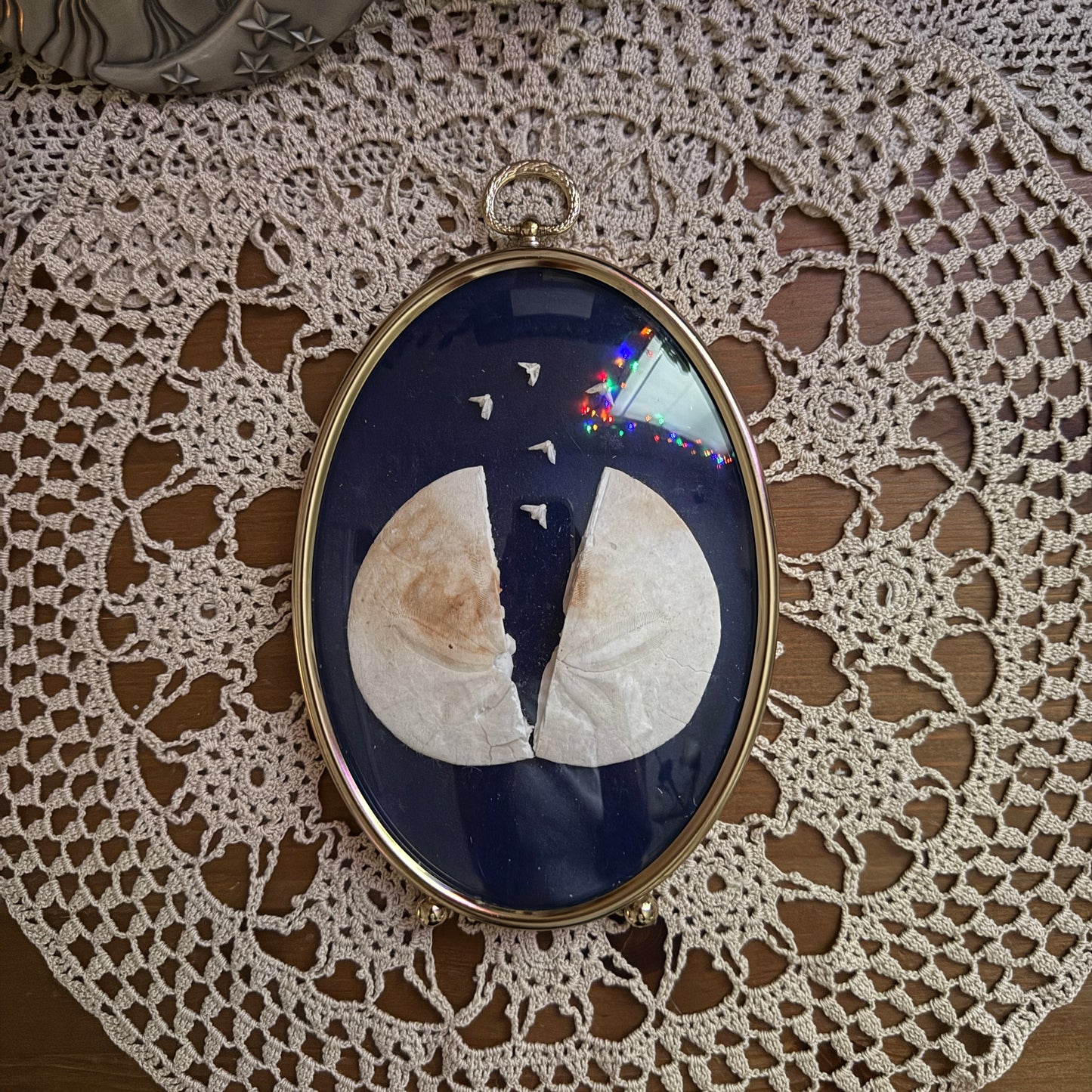 unique vintage whimsical framed oddity