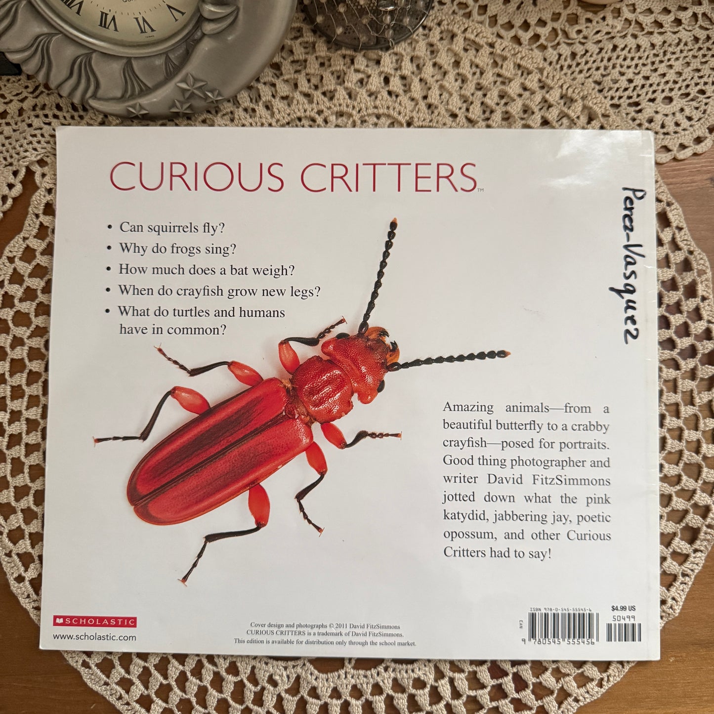 unique vintage whimsical critter table book collectable