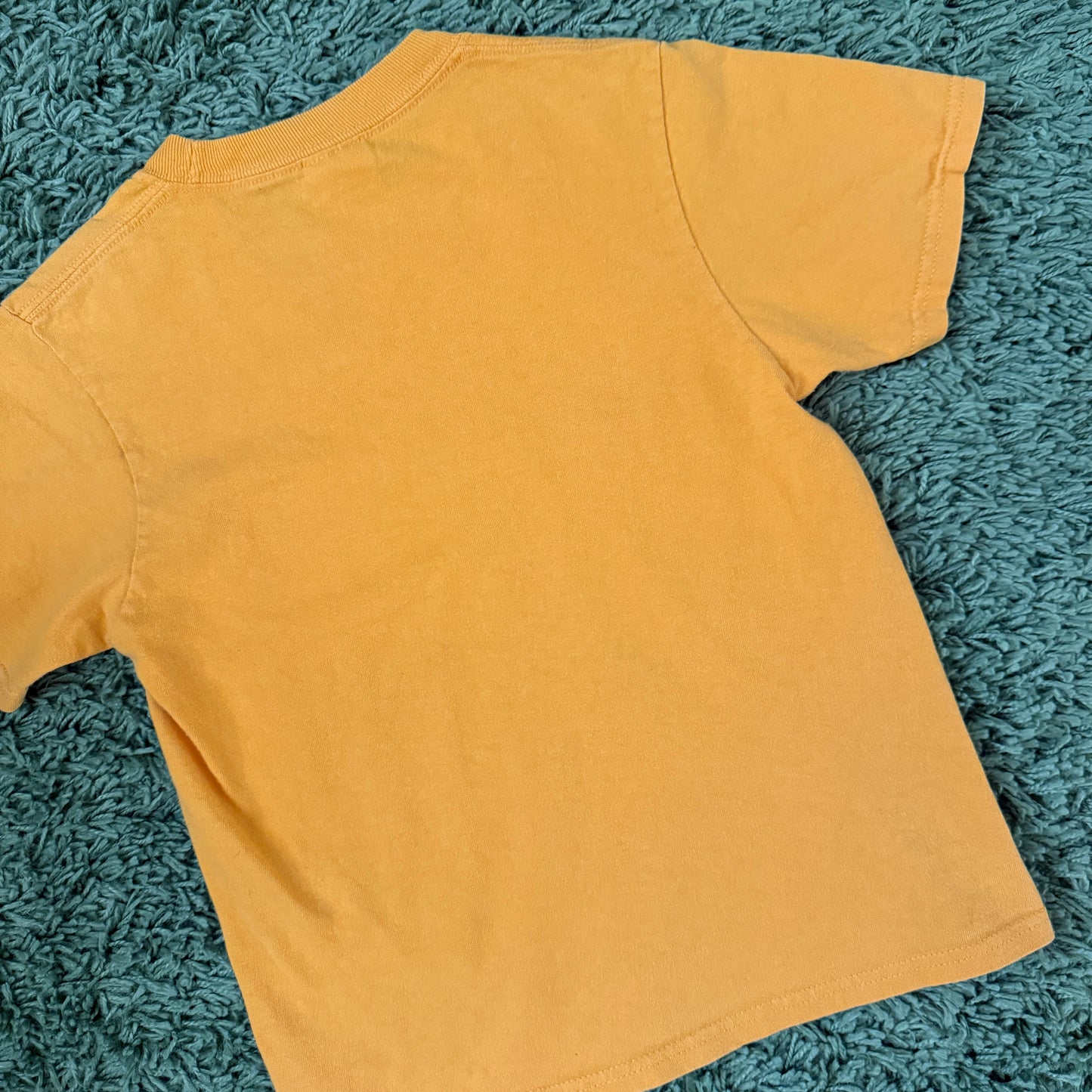 unique vintage whimsy 90s y2k graphic baby tee