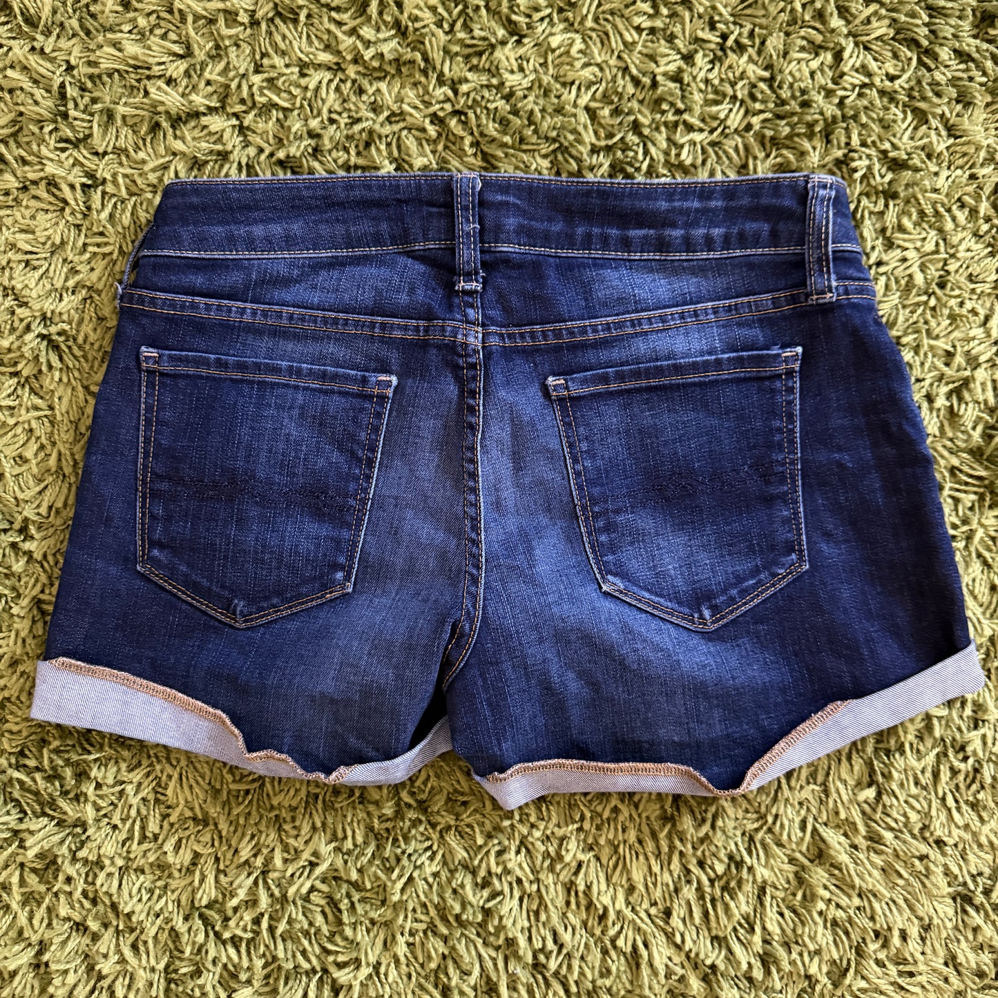 vintage whimsy 90s y2k ARIZONA JEAN CO denim shorts