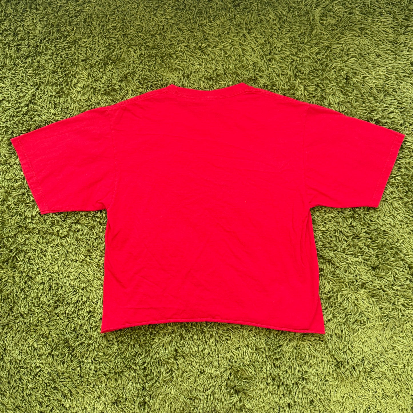 unique vintage whimsy 90s y2k graphic t shirt