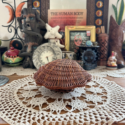 unique vintage whimsical wicker seashell basket