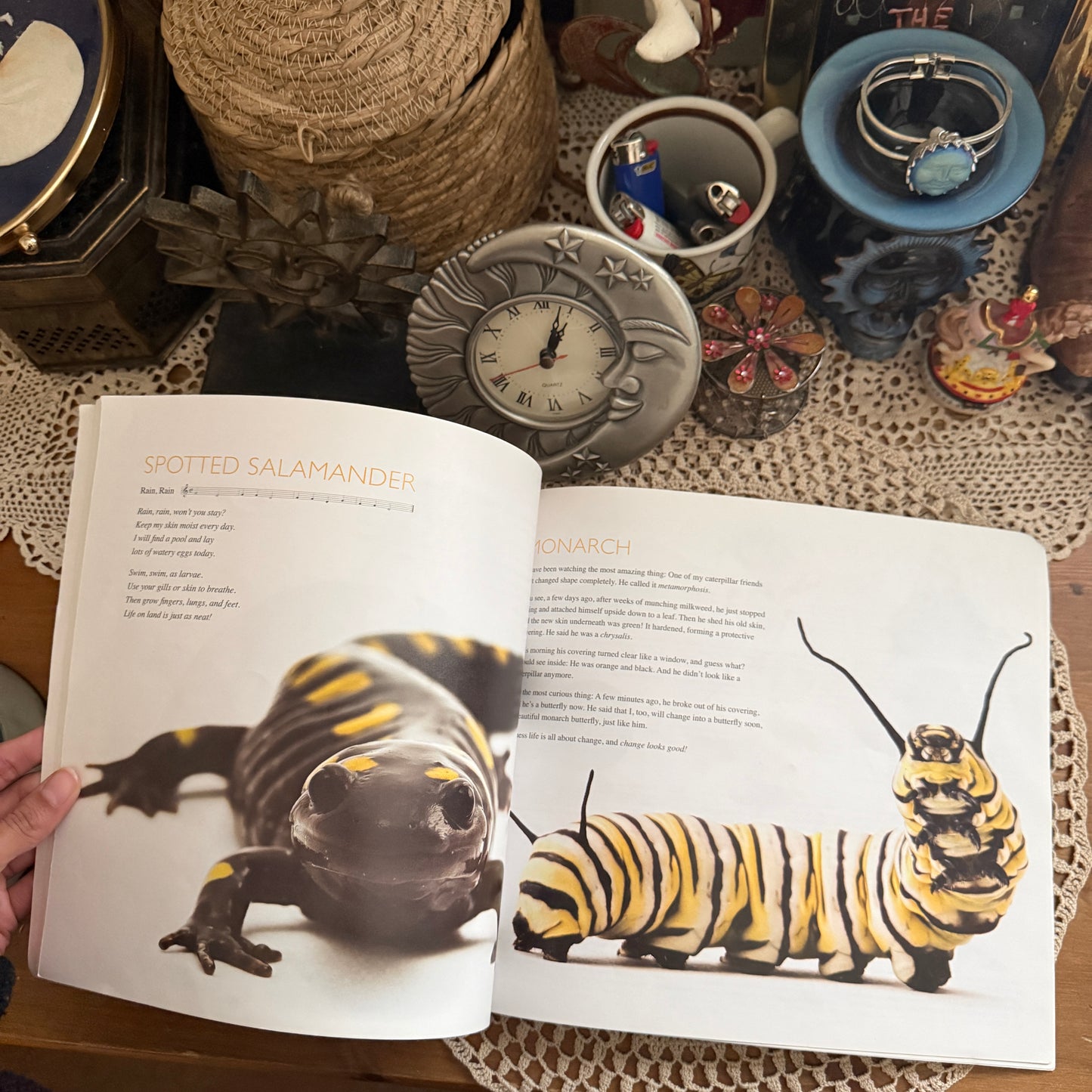 unique vintage whimsical critter table book collectable