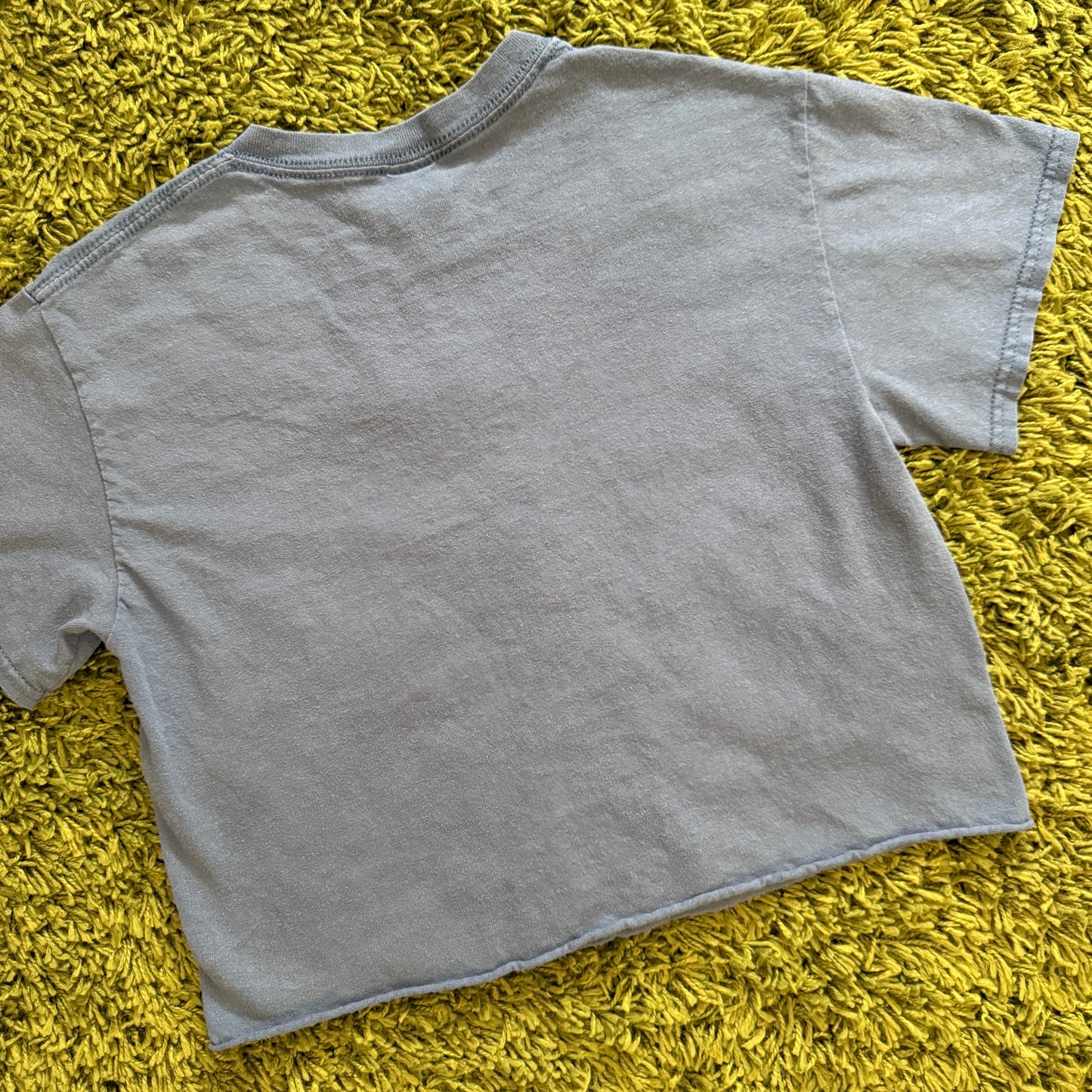 unique vintage whimsy 90s y2k graphic baby tee