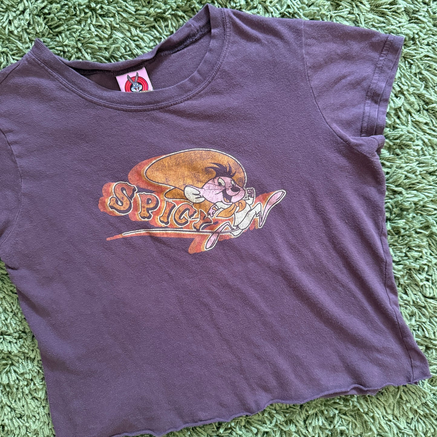 unique vintage whimsy 90s y2k LOONEY TUNES graphic baby tee