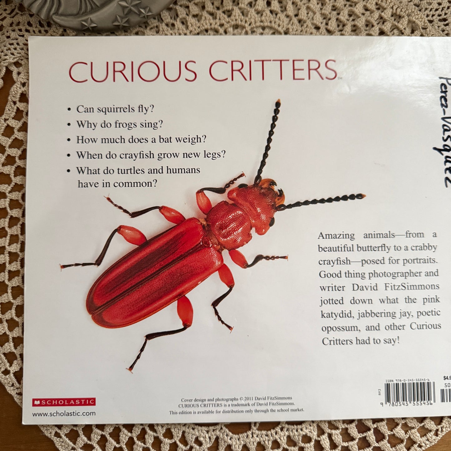 unique vintage whimsical critter table book collectable
