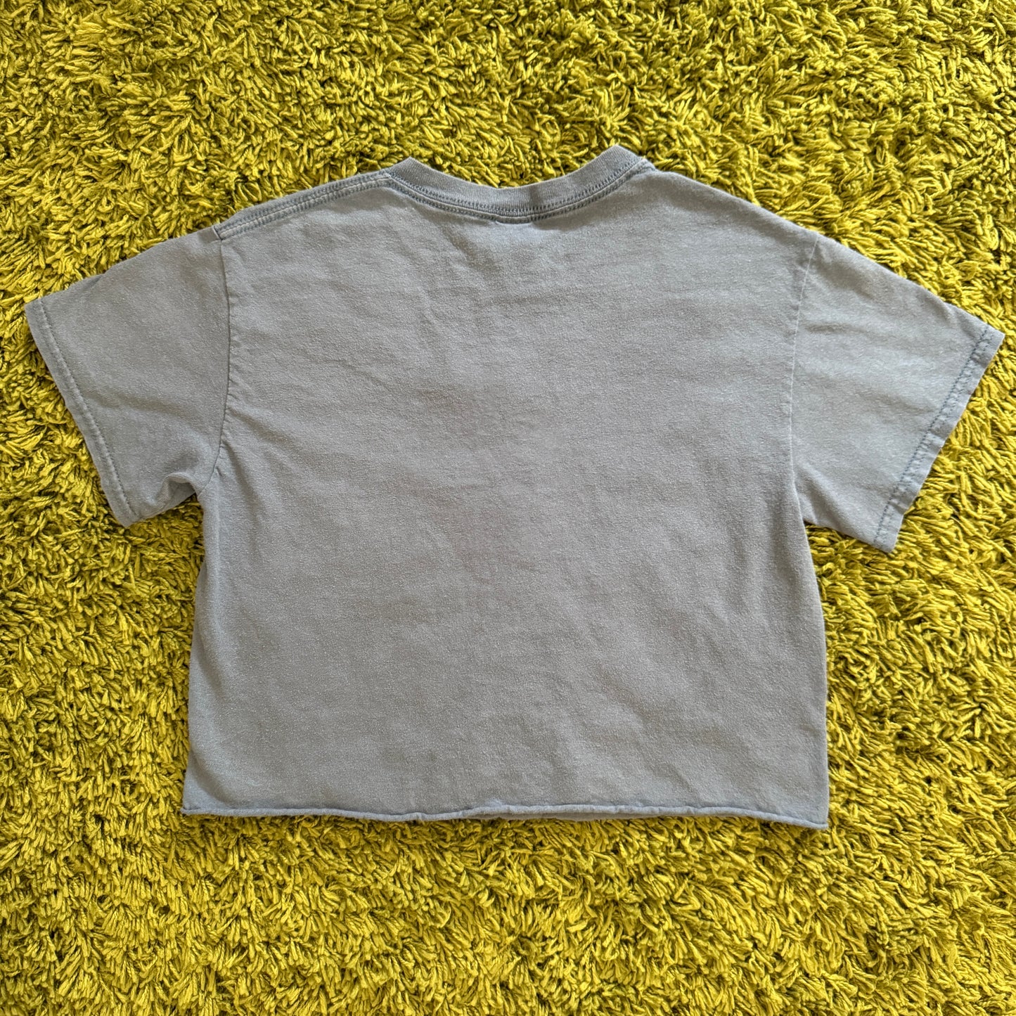 unique vintage whimsy 90s y2k graphic baby tee