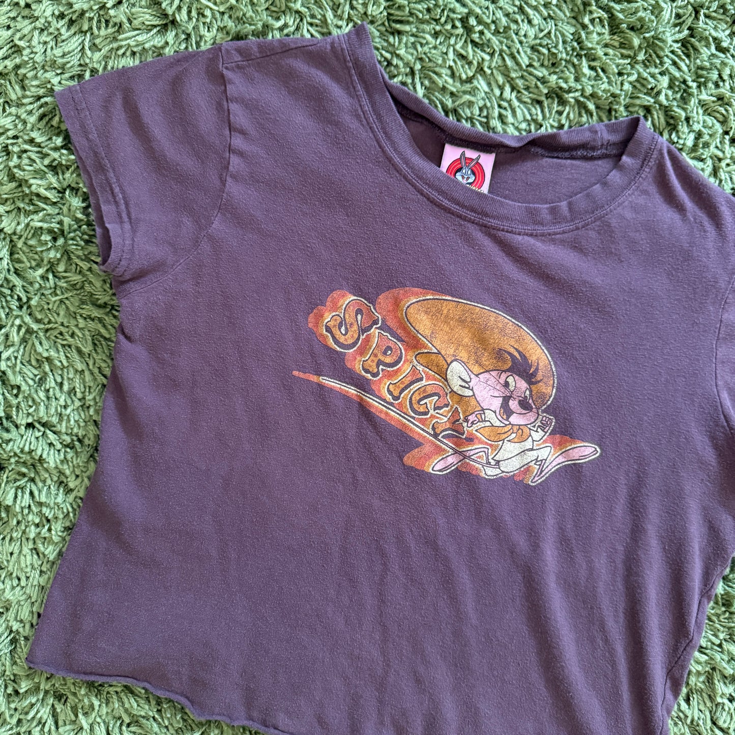 unique vintage whimsy 90s y2k LOONEY TUNES graphic baby tee