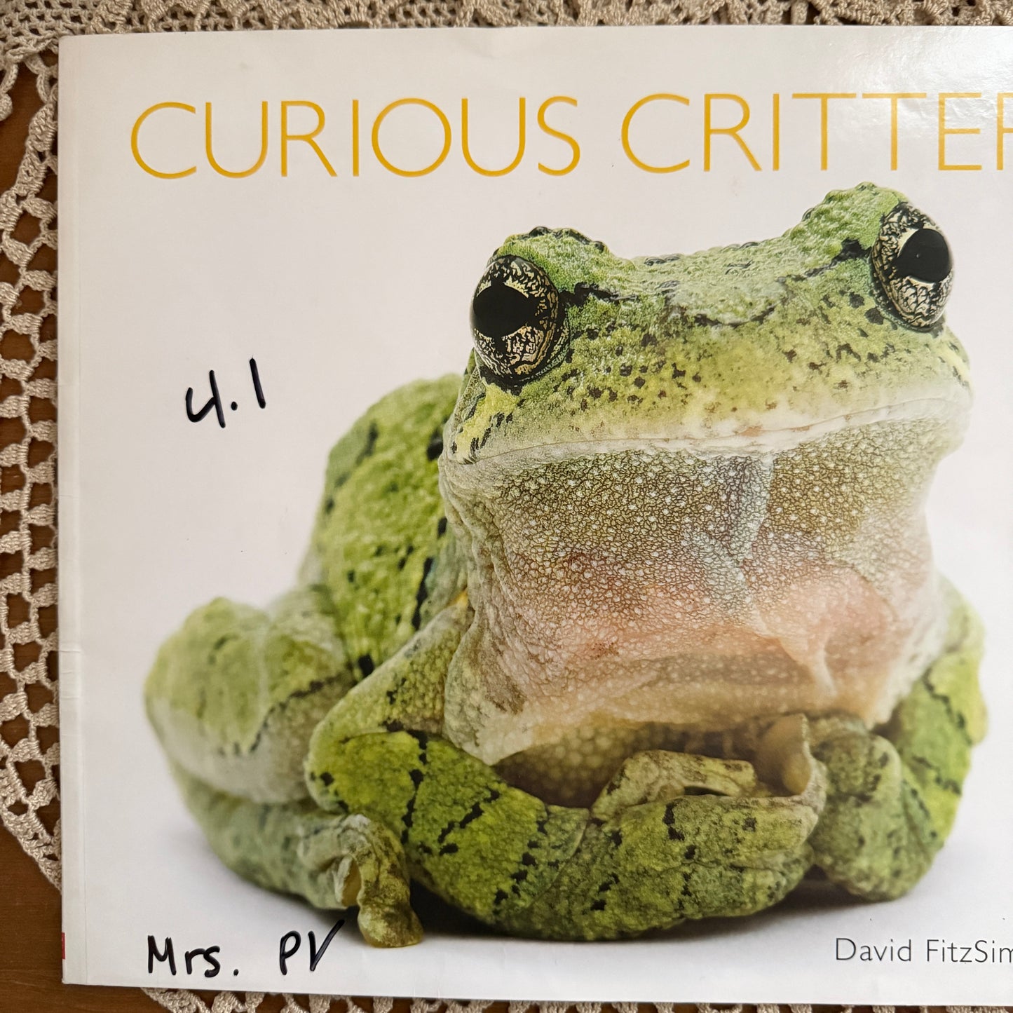 unique vintage whimsical critter table book collectable