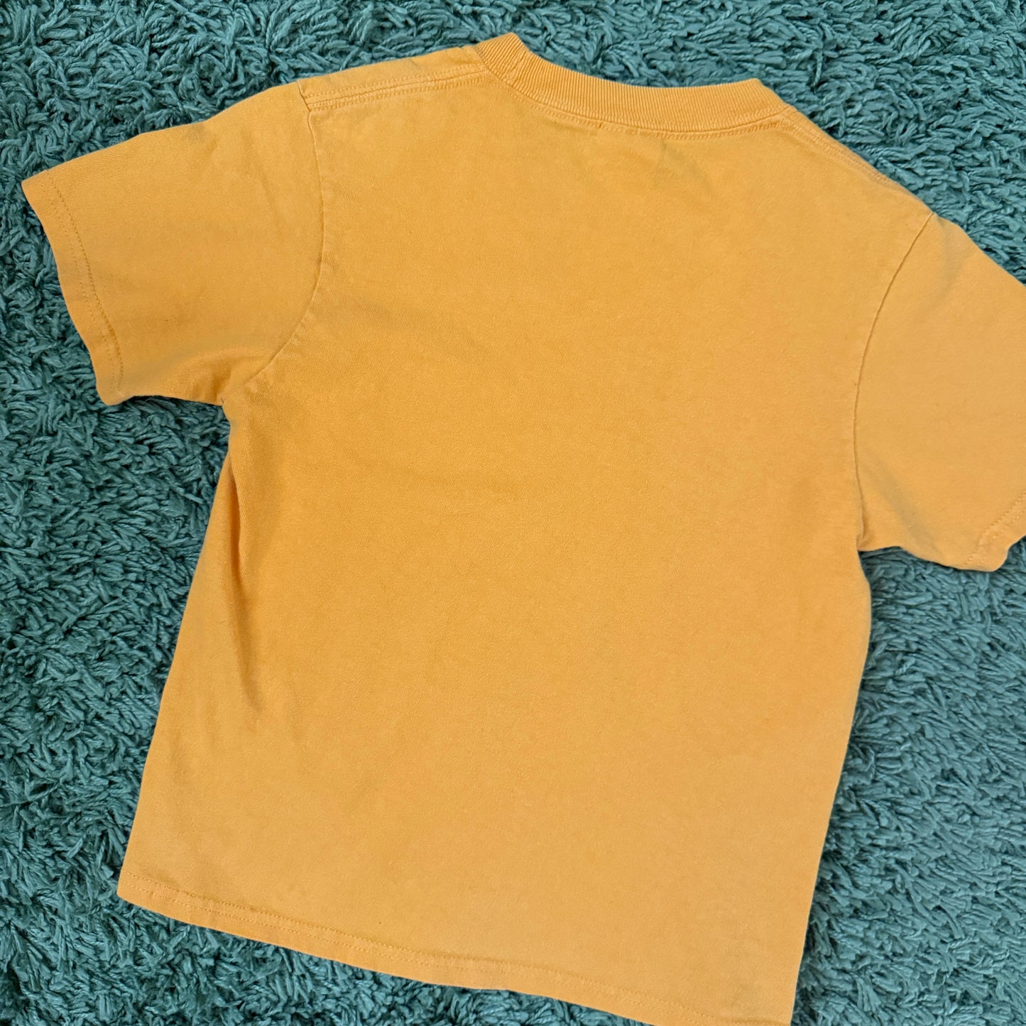 unique vintage whimsy 90s y2k graphic baby tee