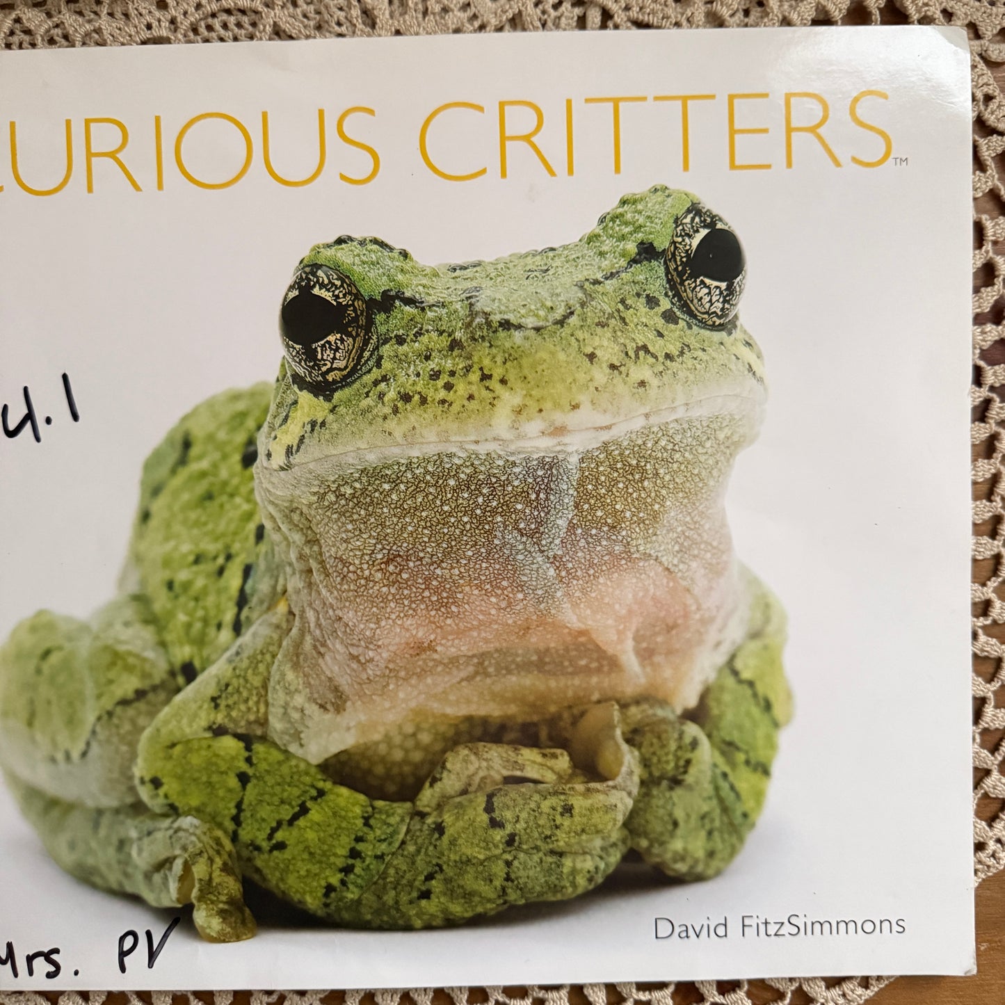 unique vintage whimsical critter table book collectable