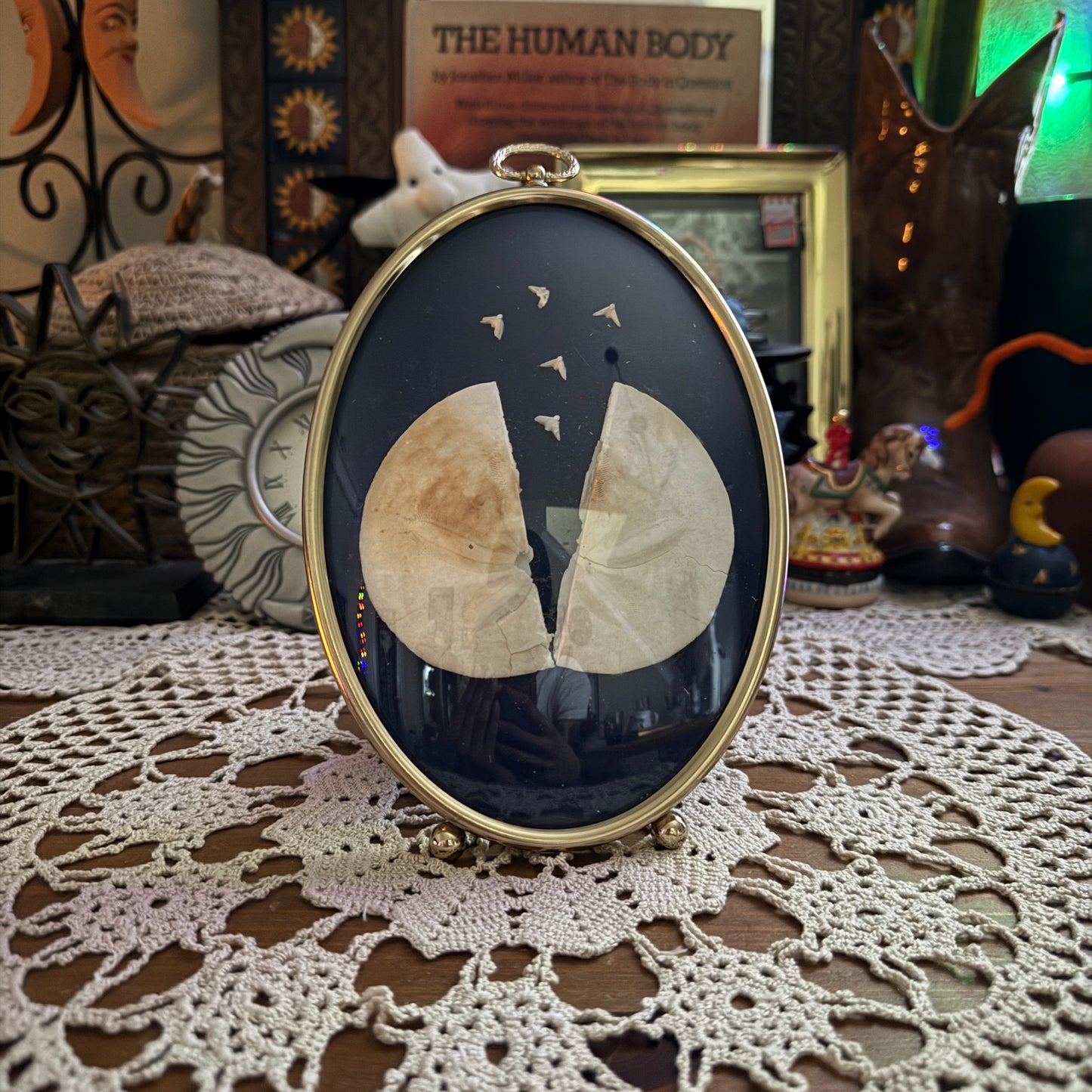 unique vintage whimsical framed oddity